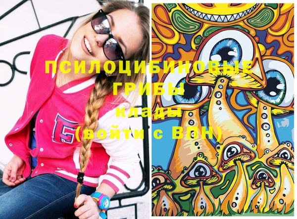 бошки Абинск