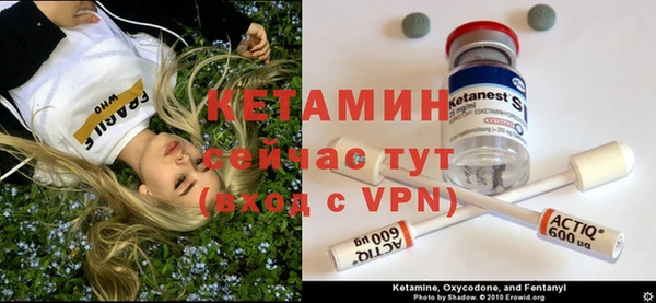 трава Белая Калитва