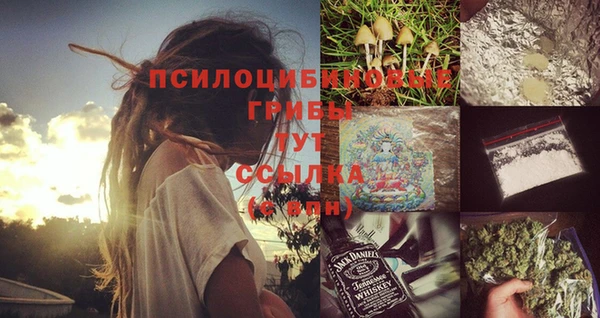 гидра Белая Холуница